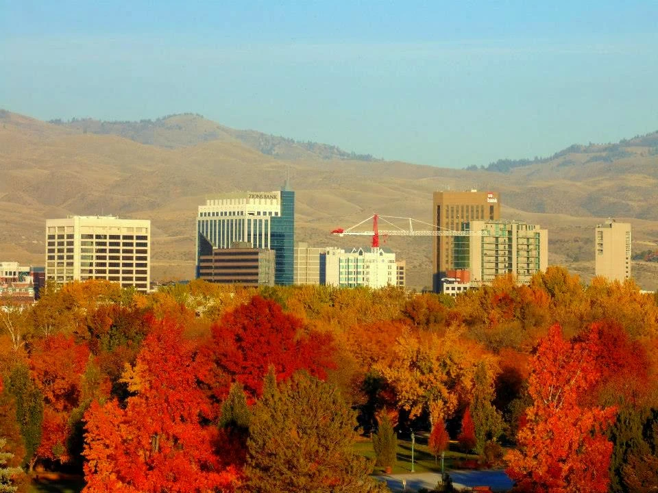 Downtown Boise framed by autumn trees and the foothills